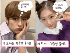 토끼 깡총 프레임 투명포카도안 배포