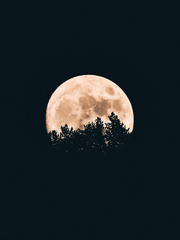 마녀사냥 ~그녀들의 이야기~