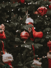 All I Want for Christmas Is