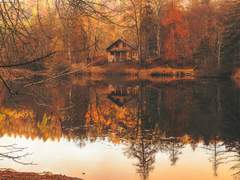 아가들이 왜 여기있나.