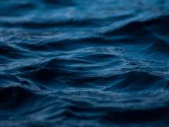 繾綣之情, 연정만은 그믐임에도 불구하여 홀로 빛났다.