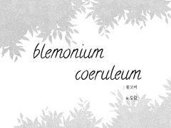 blemonium coeruleum : 꽃고비