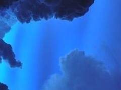 붉은 죄악은 푸른 정의를 집어삼키리라