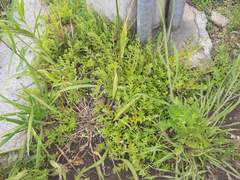 52. 이 겨울에 모텔은 따뜻하겠지.