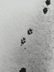 한 해를 돌아보는 회고록