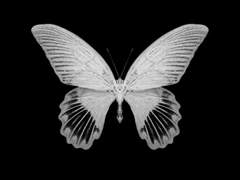 고개를 들어 올려-'라클라드 드 듀드' 독백