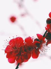 장가준 감독 동상 만들고 싶어서 만든 시리즈