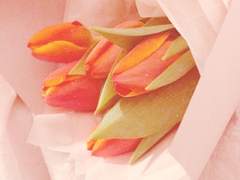 어린 날의 허물