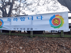 구독자 500 기념 설문