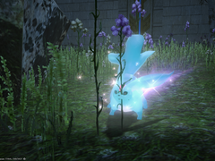 [Wayward Carbuncle] [주인 없는 카벙클]