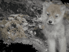 제,제가 모두에게 사랑받는 사람이 될 수 있을까요..?