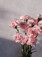 순정만화에는 빙의하지 말자