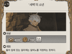 Lv. 70 '새벽'의 소년