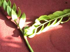 『1』 오늘이니까 새삼스럽지 않은 이야기