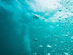 4화: 두 번째 꿈 <꿈 도둑> (1)