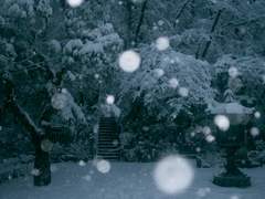 [소설 A타입] 동양풍 자캐 커뮤, 설월의 한객 묘사 로그 (2,101자)