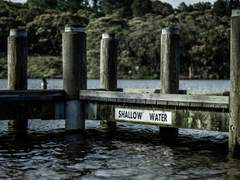 나의 낭만은 위태롭고