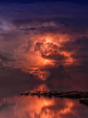 폭풍 속으로 부치는 편지