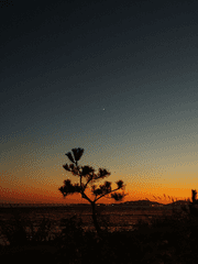 서른이 된 너에게