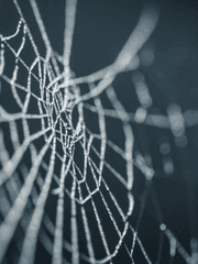 스파이더맨 2차 연성 백업