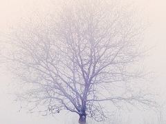 [당신은 여전히 희망을 가지고 계신가요?]