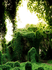 내 인생에 버그가 생겼다.