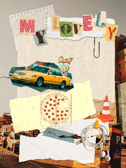 My Lovely Neighborhood