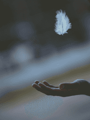 순혈천사의 회귀(完)