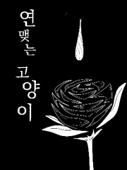 연 맺는 고양이