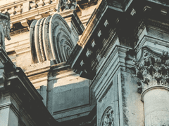 비스/리야 오텀/10살