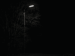 내가 정신병자라고?