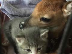 수싀 12월 트윗백업