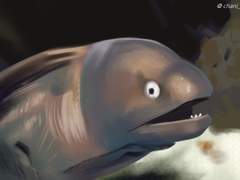 골치 아픈 곰치