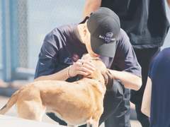 디어 마이 퍼피 !・ᴥ・! 5