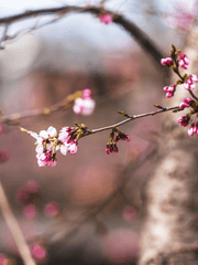네가 불어오는 이곳에서 난 여전히