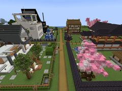 <Poppy Village> 건설일지