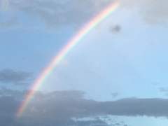 올해는 아방수처럼 살기로 했다