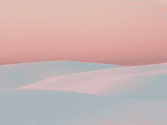 차유진의 컬러렌즈에 대한 고찰