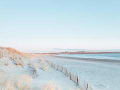 내가 잘못했으니 살아만 주어요.