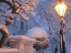夏に生まれた冬の夜.