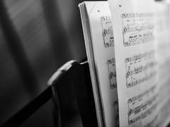 Aiden Norbert / XY / 레번클로 / 혼혈 / 7학년