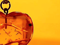 어둠 속에서 빛나는 주황색 보석