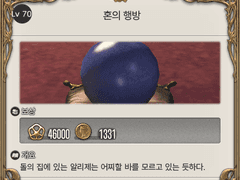 Lv. 70 혼의 행방