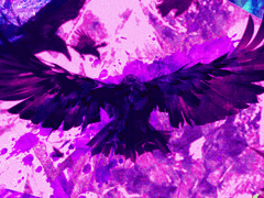 디 페러독스_26_xx