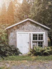 왕실의 온실 속 화초