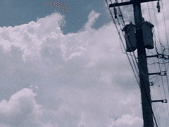 [벤티종려] 장마철 칸타빌레