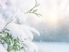 [소라쇼바] 크리스마스의 기적