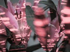 한국 커미션 페이지