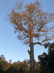 그 판타지 세계의 세계관