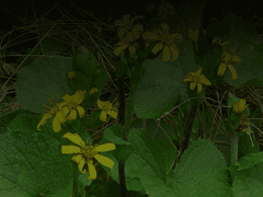 안녕, 스쳐 지나가는 추억속의 인물.